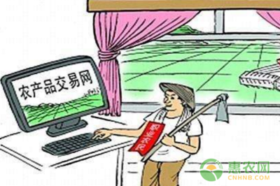 數字技術賦能，郵路變富路 中國郵政電商精準扶貧引領返鄉創業新浪潮